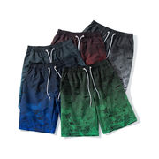 メンズ ビーチパンツ 速乾海パン スイミング短パン 海水パンツ 海パン 2025新作 春夏★全5色