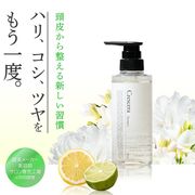 crescera ノンシリコン シャンプー  (アミノ酸 頭皮ケア サロン) 【日本製】