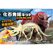 【アウトレット】化石発掘キット トリケラトプス 1セット