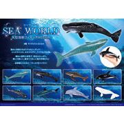 シーワールド大型海獣フィギュアMEDIUM