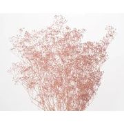 s 大地農園  プリザーブドフラワー  ミニカスミ草