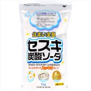 セスキ炭酸ソーダ　大
