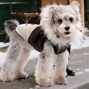 ペット服、ペット用 秋冬新作 カラーブロックデザイン 防寒アウター フード付き、猫服、犬服