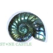 ☆一点物☆【彫刻置物】アンモナイト ラブラドライト (EX) No.41