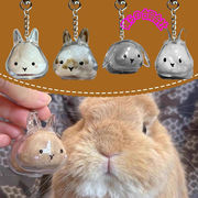 収納ケース ペット 遺毛 ケース 透明 遺毛入れ ペット うさぎの毛 メモリアルボトル かわいい 4色展開