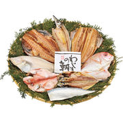 わじまの朝干物セット８種８枚