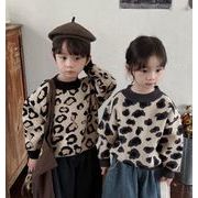 2026新作 韓国子供服 子供服 ベビー服  キッズ服 男女兼用 厚手のレオパード柄 ニット 80~140CM 2色