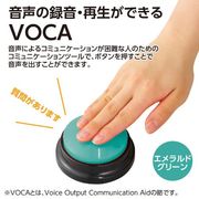 RECプッシュ エメラルドグリーン 75821