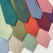 アメカジ ビジネス 父の日 男女 パーティ メンズ ネクタイ 職業ネクタイ JKネクタイ 司会 制服 11色