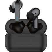 カシムラ　完全ワイヤレスステレオイヤホン　外音取込／ＡＮＣ　ＢＫ BL-113