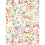 楽園 包装紙（半才）（50枚入） 49-1507