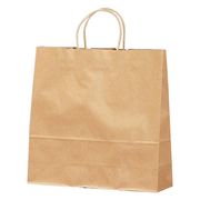 手提げバッグ（中）茶無地（50枚入） 50-5201