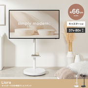 キャスター付き多機能テレビスタンド