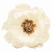 【2026年SS新作】ソラフラワー　ドライ　ソラ　ヒメシャラ　白　3輪入　YF145552-zzz