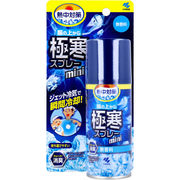 [メーカー欠品]熱中対策 服の上から極寒スプレー ミニ 無香料 93mL