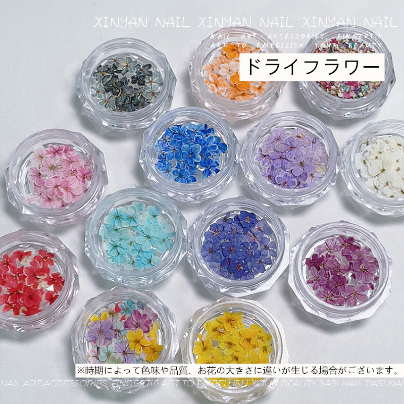 ドライフラワー ネイル 押し花 ネイルアート ネイルパーツ 18-20枚入り ジェルネイル レジン ハーバリウム