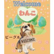 Welcome わんこ ビーグル　WJ-9798