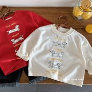2026新作 秋 男の子 綿長袖Tシャツ 子供服